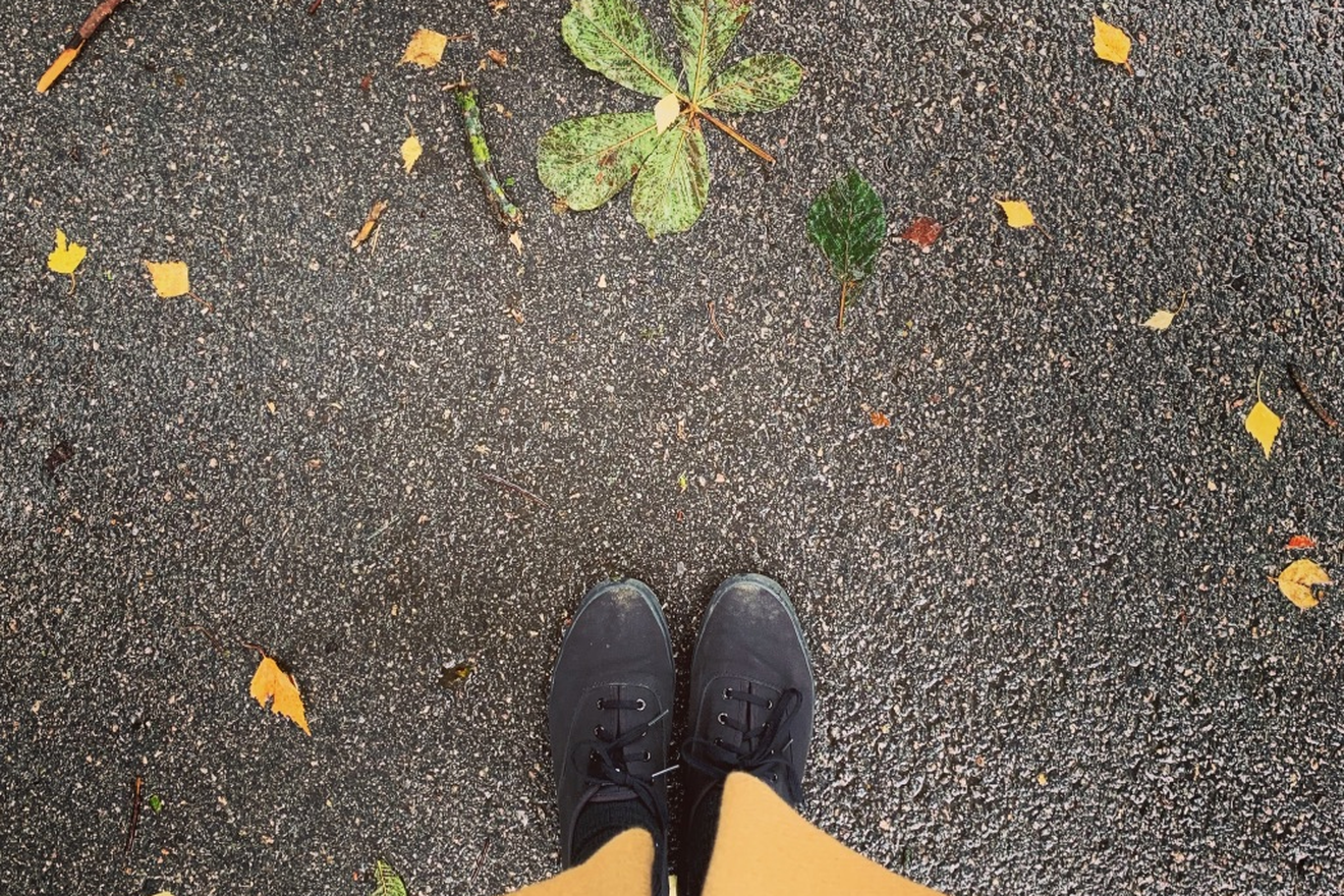 Retour - L'automne sur le pas de la porte