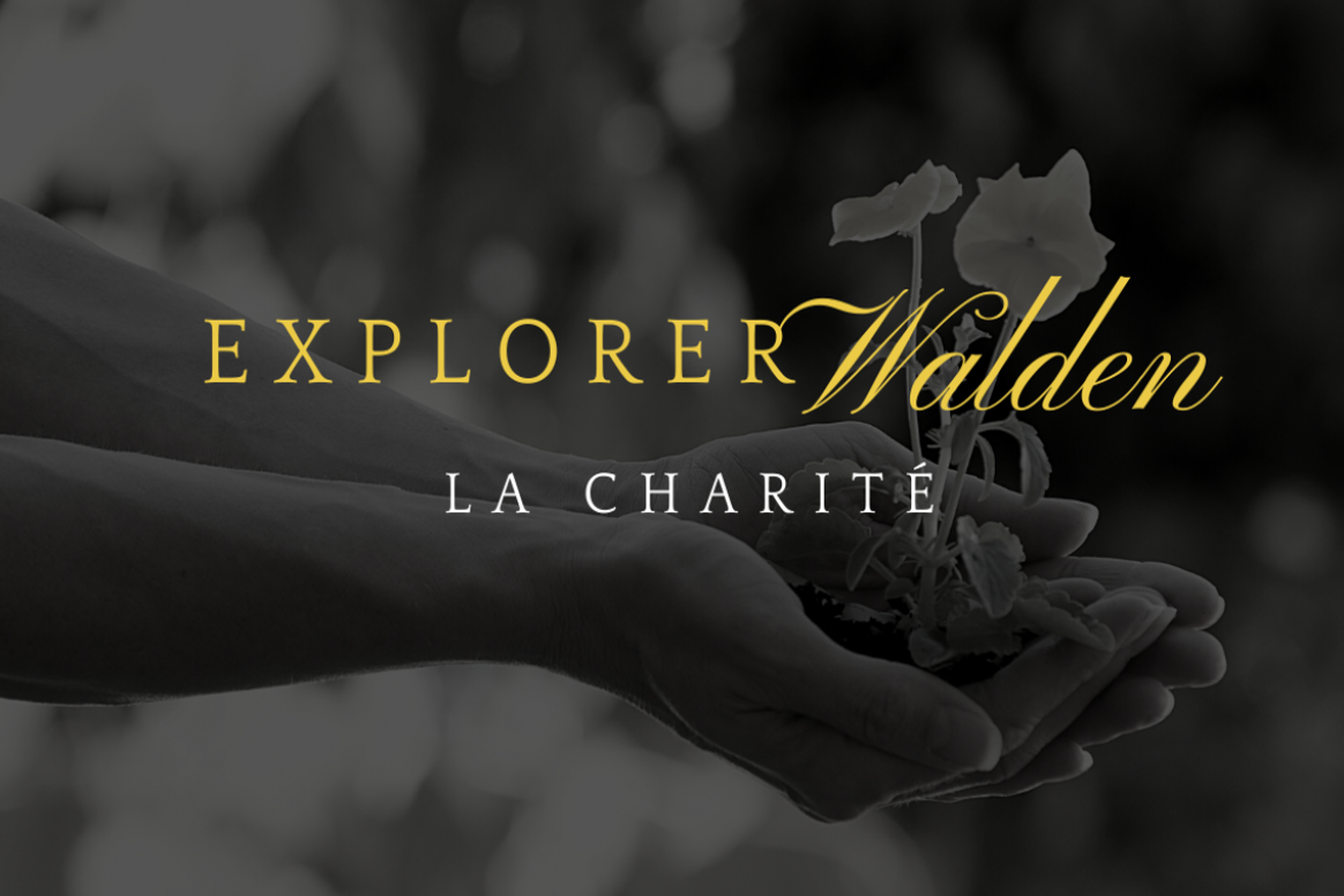 Explorer Walden : La charité