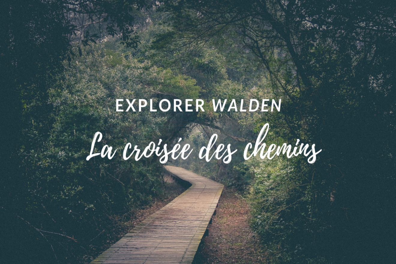 Explorer Walden : La croisée des chemins